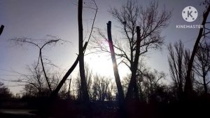 Родной Волгоград