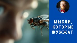 Навязчивые мысли 1го порядка, коррекция невроза