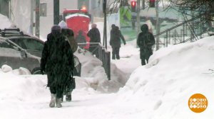 Много снега? Ждем большого урожая! И комаров... Доброе утро. Фрагмент выпуска от 11.03.2026