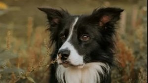 опять гуляем ( после этого у меня всё было Мокрое😅...