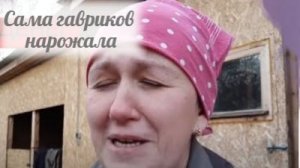 Быкова плачет, нет свободной минуты