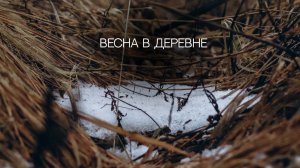 Весна в деревне