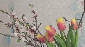 ВЛОГ Вернулись туда, откуда уезжали в Москву. РЕМОНТ в зале 1 серия КАК ЖЕ МНОГО РАБОТЫ