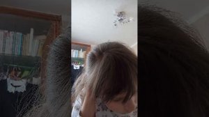 украшаем комнату чаек