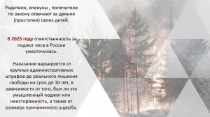 Данные о природных пожарах за 2025 год. Родительское собрание
