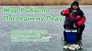 Пулеметный клев белой рыбы / Жор рыбы по последнему льду / Фееричное закрытие сезона / Фишмир