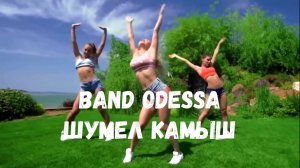 BAND ODESSA - Шумел камыш