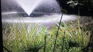 Рыма Чек- её ужимки и нервозность