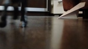 Клип лошадей шляйх (обман)