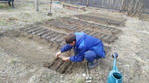 ВПЕРВЫЕ САЖАЮ МОРКОВЬ В РОССИИ, ЖИЗНЬ В УРАЛЬСКОЙ ГЛУБИНКЕ