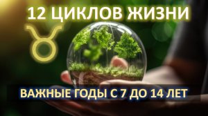 ✨12 ЦИКЛОВ ЖИЗНИ | с 7 до 14 лет | Телец