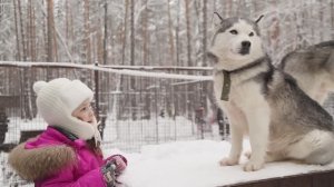 Настя и её пушистые друзья: приключение в Хаски‑лэнде
