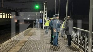 Электричка насмерть сбила четырех человек на станции Маленковская в Подмосковье