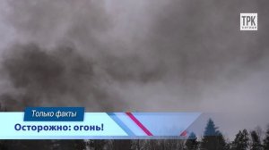 "Территория безопасности" от 10.03.2026