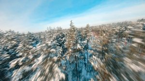 Зимний лес fpv или Оперейшн: "Дрон. Сосна. Эвакуэйшн." | Winter forest fpv | Crash | Cinematic fpv