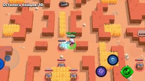 сливы Miki Brawl