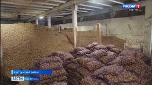 Костромские аграрии активно готовятся к посевной