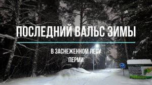 Последний вальс зимы в заснеженном лесу Перми