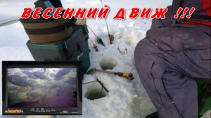 На речке начинается весенняя движуха ! 9 марта 2026г.