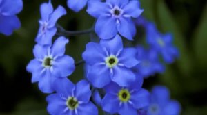 УТРО ИНГУШЕТИИ  120326