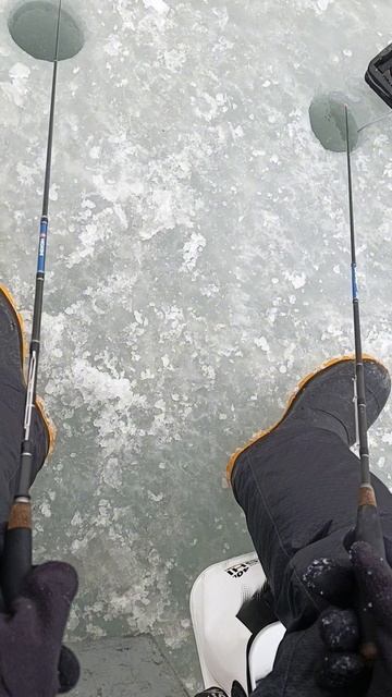 💪Оснастка для сельди в ДЕЛЕ💪