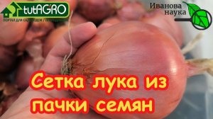 🧅 Лук без севка С ГОЛОВУ?! ЛЕГКО! Без рассады и Эксибишена. Хранится до нового урожая.