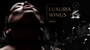 LedyFar ~ Mr. Q - Melody... (Original)