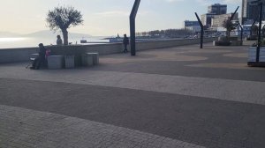 весна пришла в Новороссийск уже бесповоротно