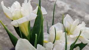 моё 6 марта 2026/в магазины за весной🌷