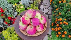 Башкирский красавец