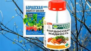 Чем обработать яблони весной от болезней и вредителей | Первая обработка сада