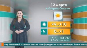 Погода в Старом Осколе на 12 марта