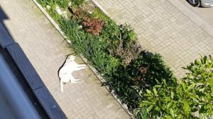 Наверное, магний принимает...