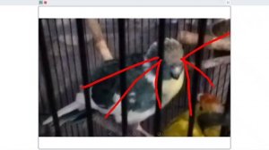 1000031881.mp4 aaaaaaaaaaaaaaaaaaaaaaaaaaaaaaaaaaaaaaaaaaaaaaaaaaaaaaaaaaaaaaaaaaaaaaaaaaaaaàaaaaaaa