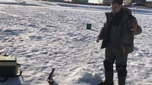 поимка форели на ратлин