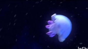 Мать Лунтика целый переживала одиночество без своего малыша 😢