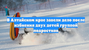 В Алтайском крае завели дело после избиения двух детей группой подростков