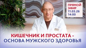 Кишечник - «второй мозг», простата - «второе сердце» — невидимая ось, определяющая мужское здоровье