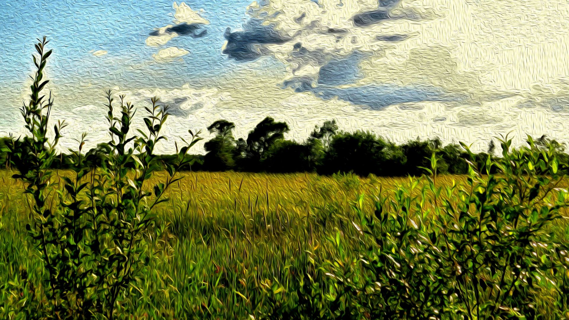 Летние прогулки на свежем воздухе…