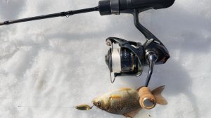 Десна, 10 марта 2026 года. XUL(микро-воблеры + железо)