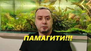 Нужна помощь!