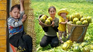 Мама поневоле. Дуонг. Собираю урожай дынь, чтобы продать и купить молока для своих детей. Серия 82