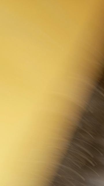 коротко