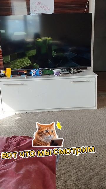 вот что мы смотрим дома!!!!