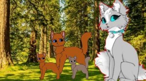 Конкурс артов