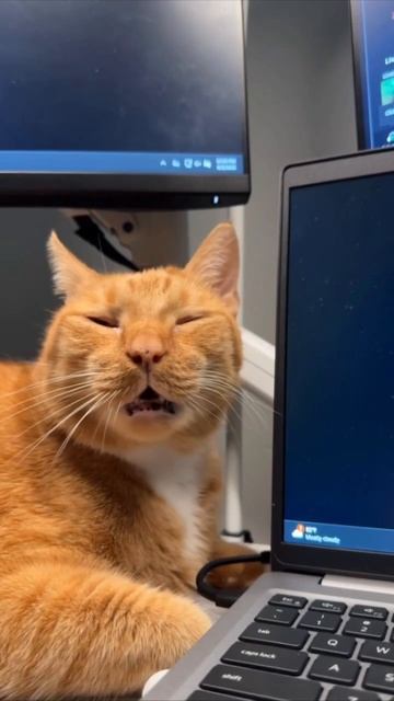 Каждое рабочее утро