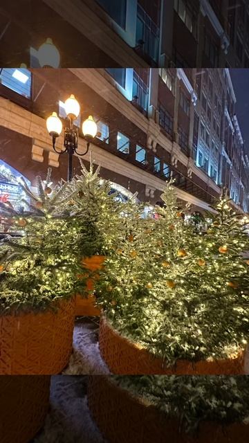 Русская зима 2026 поморозила и ушла