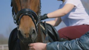 Ипподром Bengruf