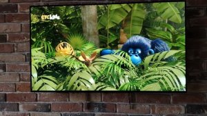 Отряд джунглей спешит на помощь 2 сезон: размороженный