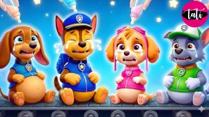 Щенячий патруль и Маршалл. Залипательное видео. Мультфильм для детей и малышей. Анимация 359